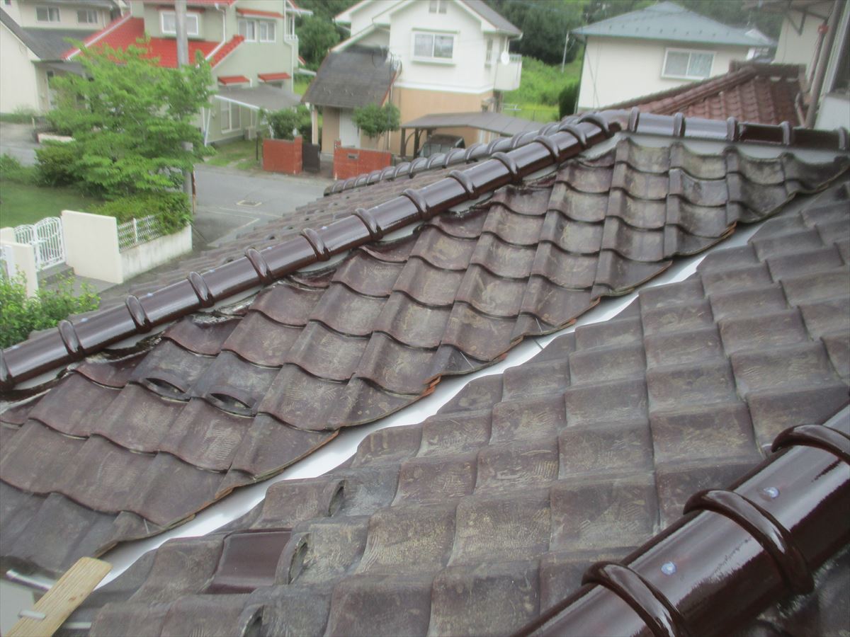 5. 現地調査の重要性